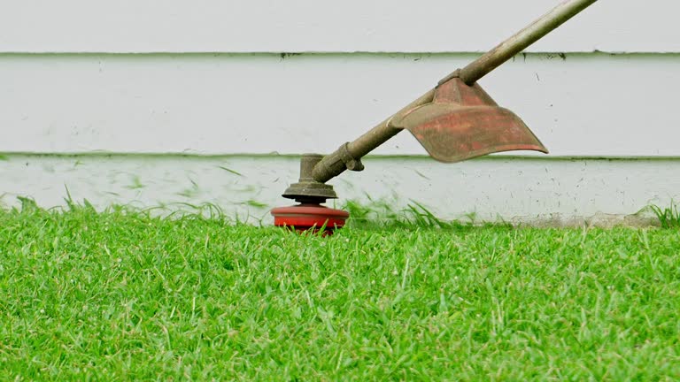 Best Lawn Disease Treatment  in Saddle Rock, NY